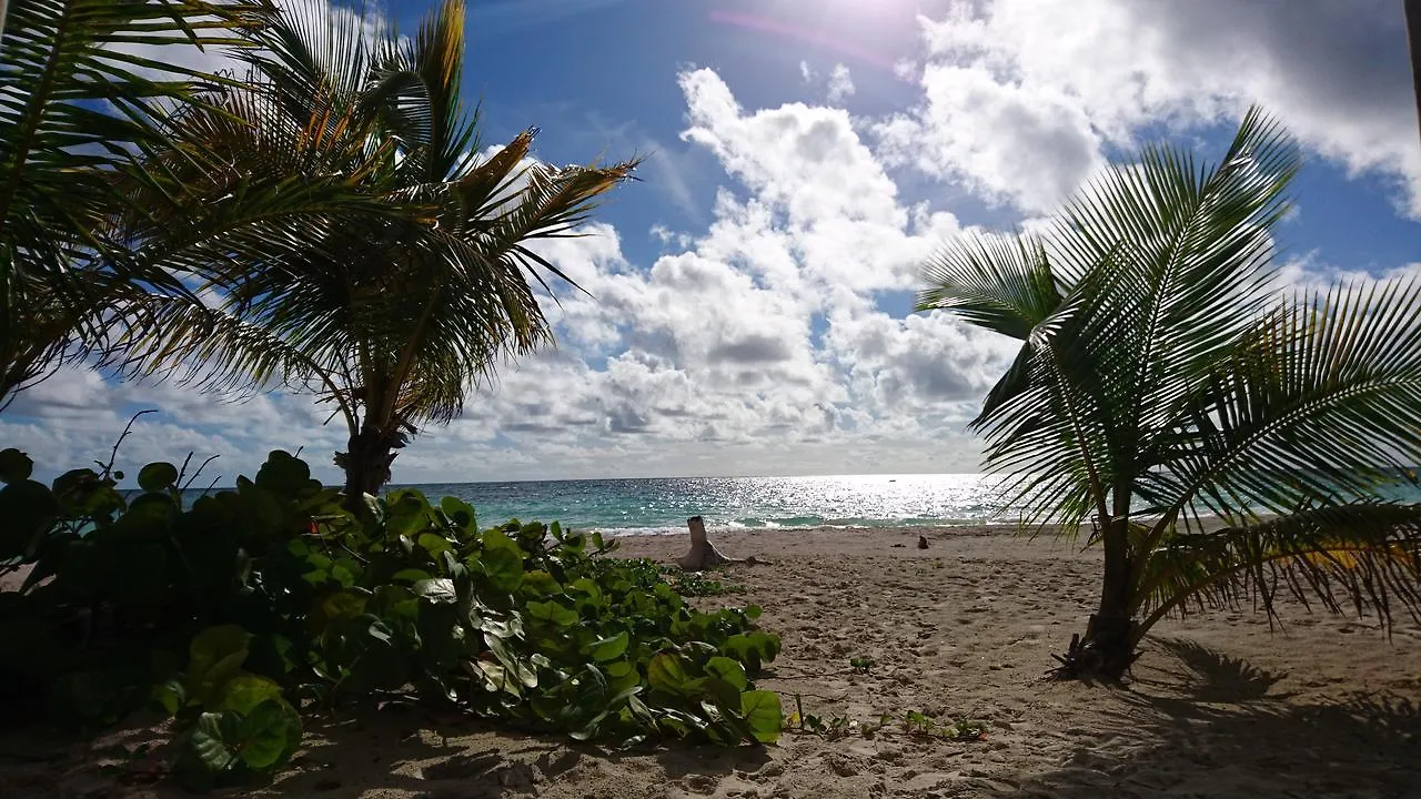 Almaplena Boutique Hotel Mahahual Mexico