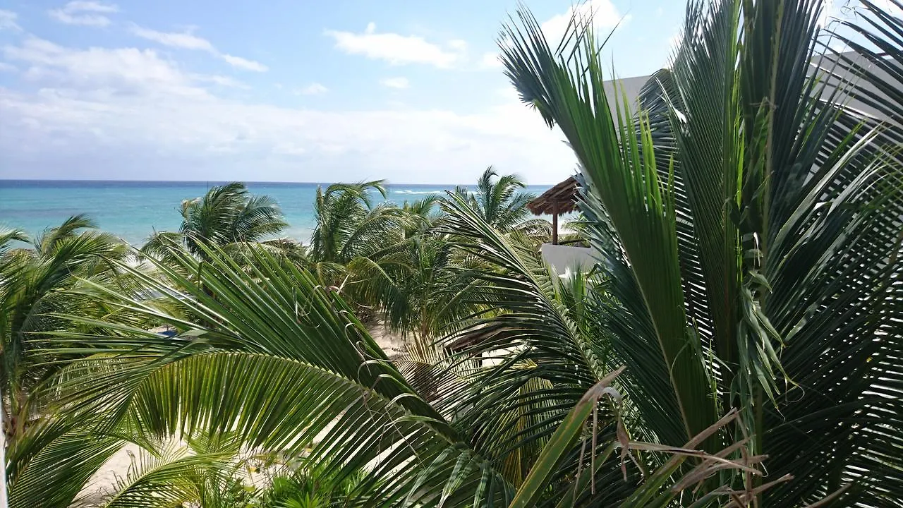 Almaplena Boutique Hotel Mahahual